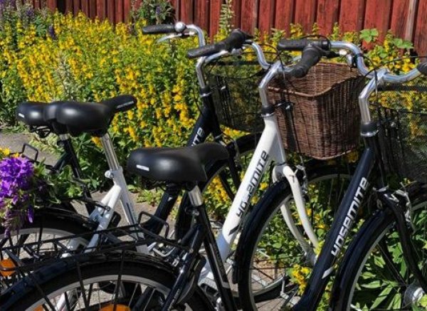 Lövångergården och Lövånger Kyrkstad — Photo 2