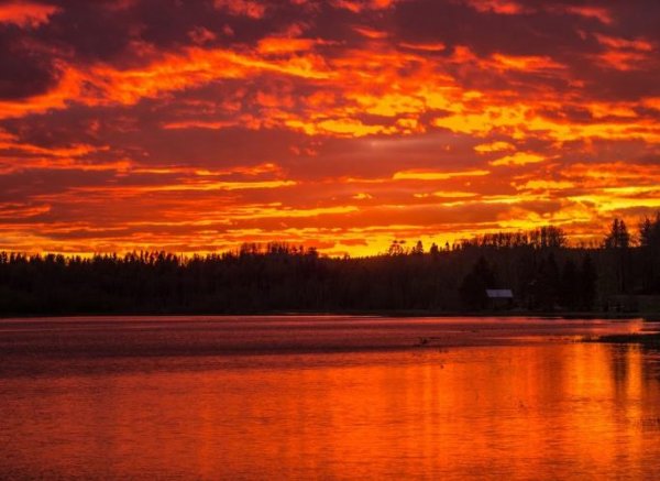 Lövångergården och Lövånger Kyrkstad — Photo 4