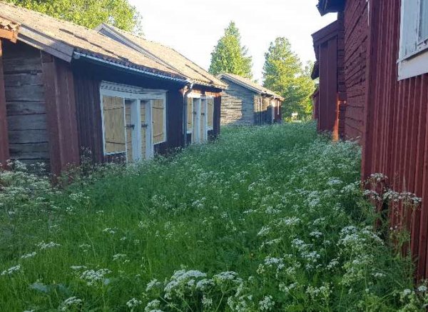 Lövångergården och Lövånger Kyrkstad