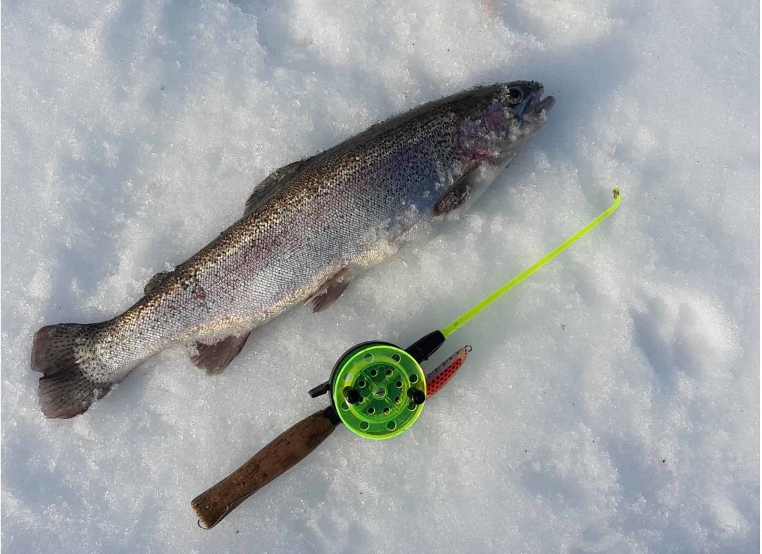 Fromhedens Camping — Місце для кемперів in Fromheden