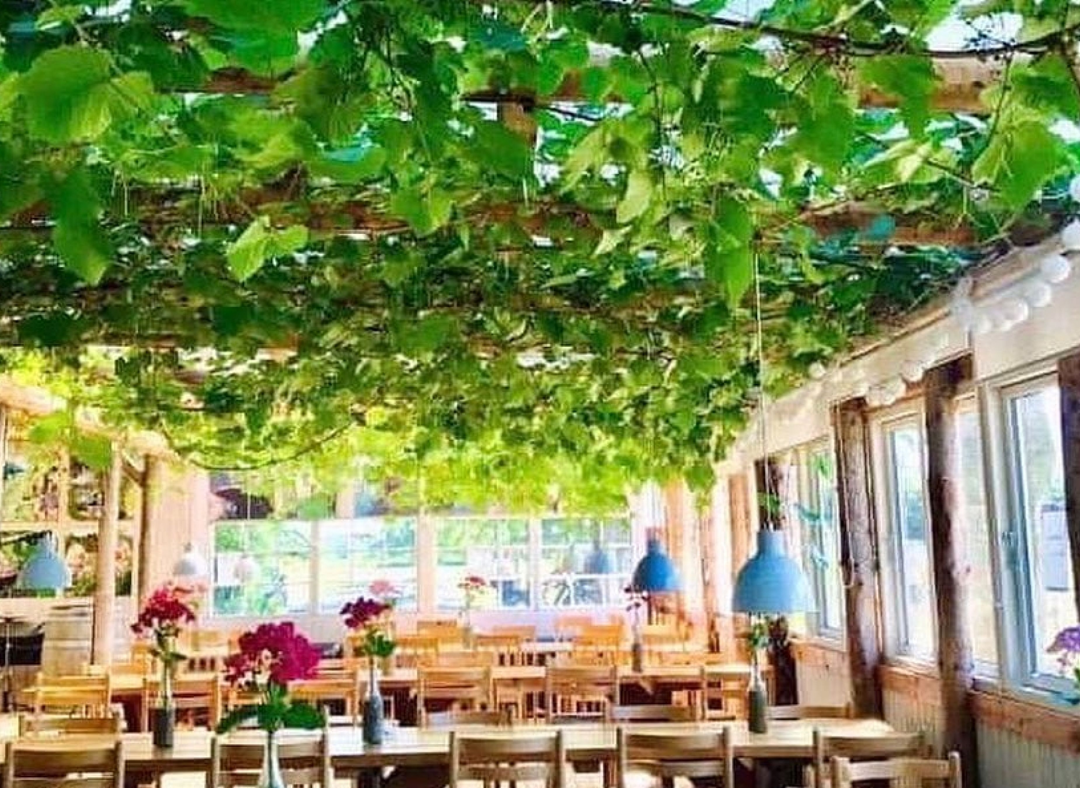 Vingården lille gadegård (nur Zelt) — Weingut in Aakirkeby