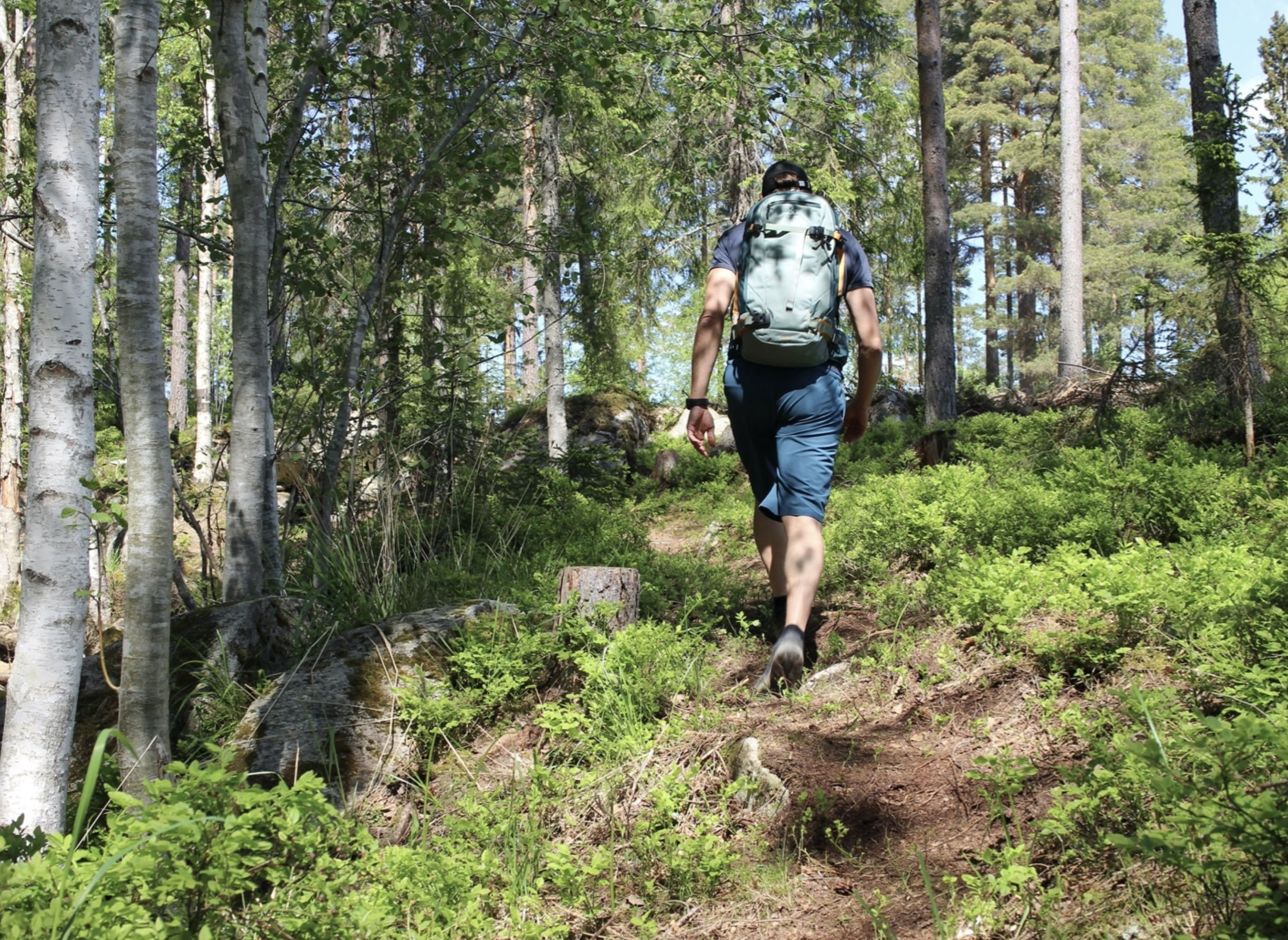 Bjursås Berg & Sjö — Area di sosta in Bjursås