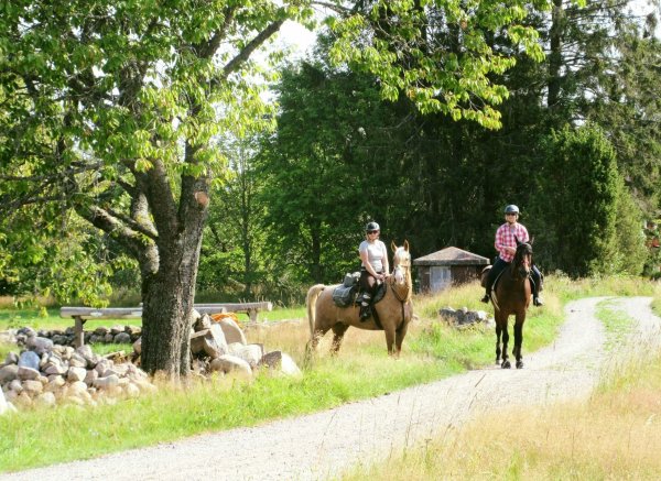 Rikardsgården — Photo 5