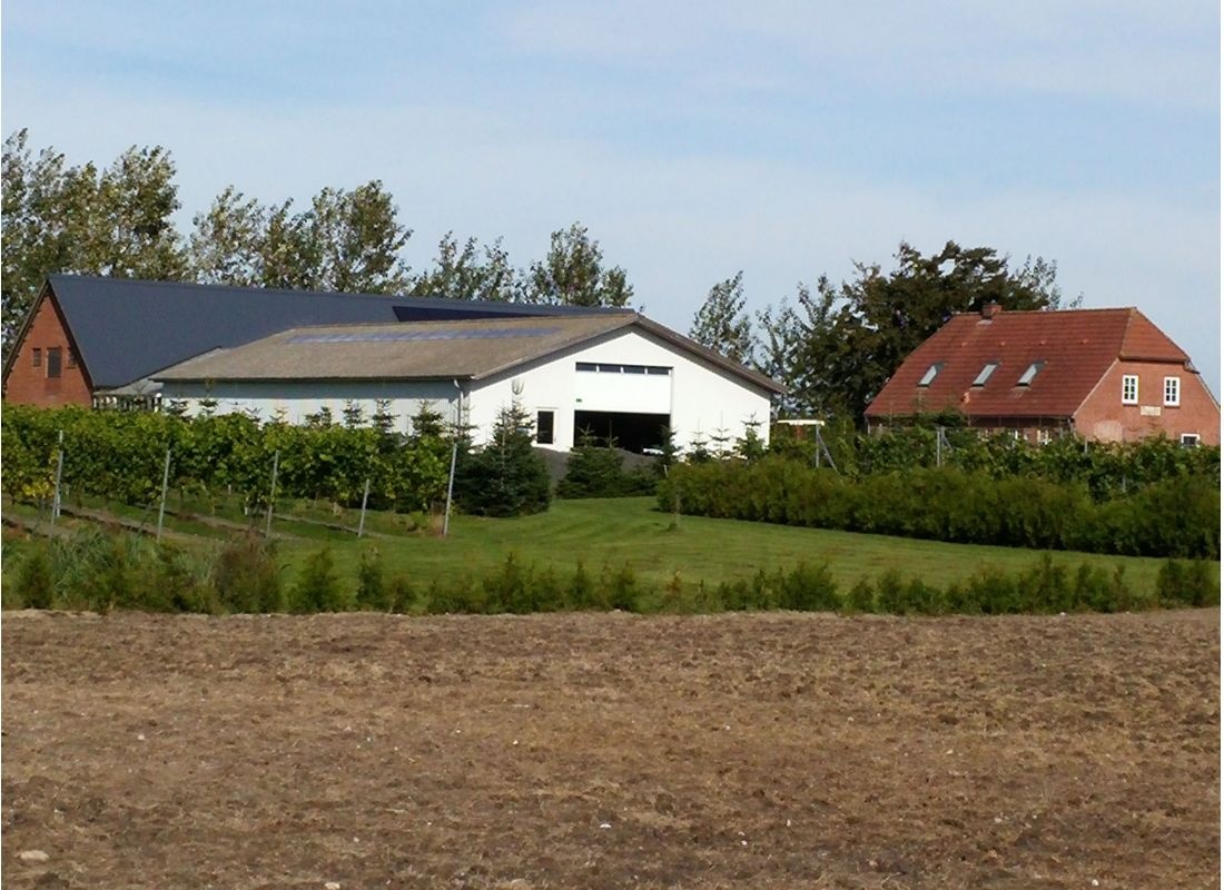 Frøkær Vingård — Winery in Vamdrup