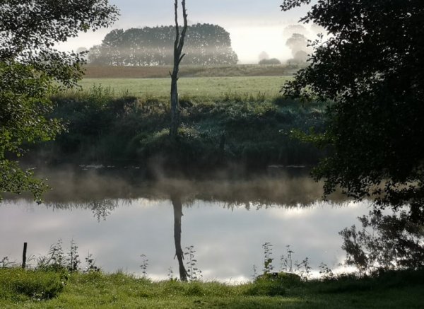 Kattugglan ställplats — Photo 3