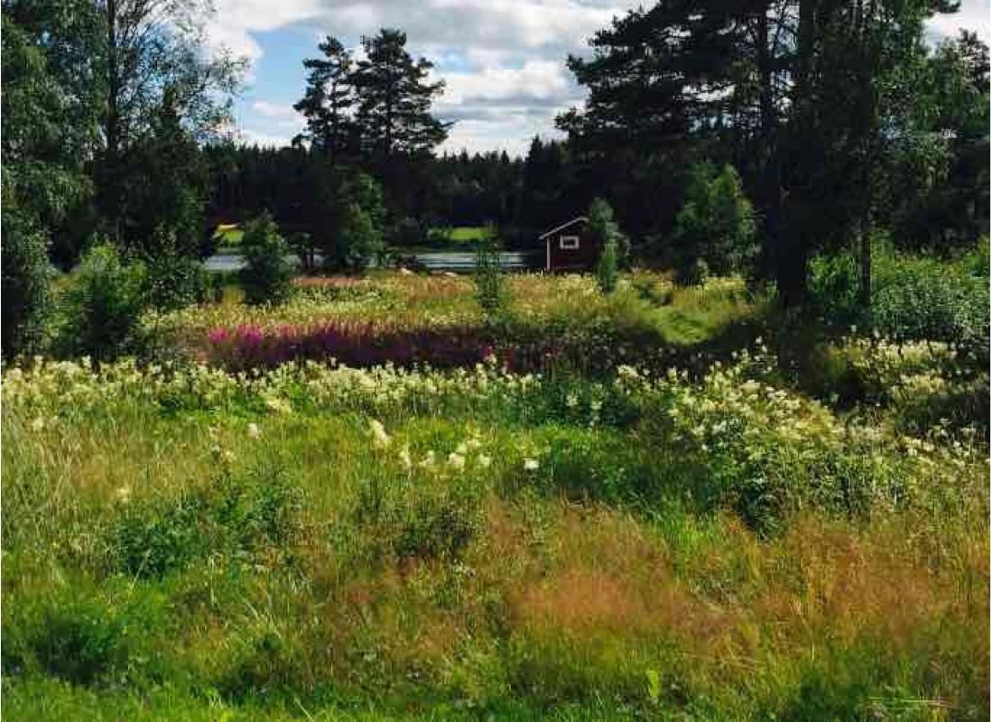 Västerdalaonwest — Aire camping car in Äppelbo