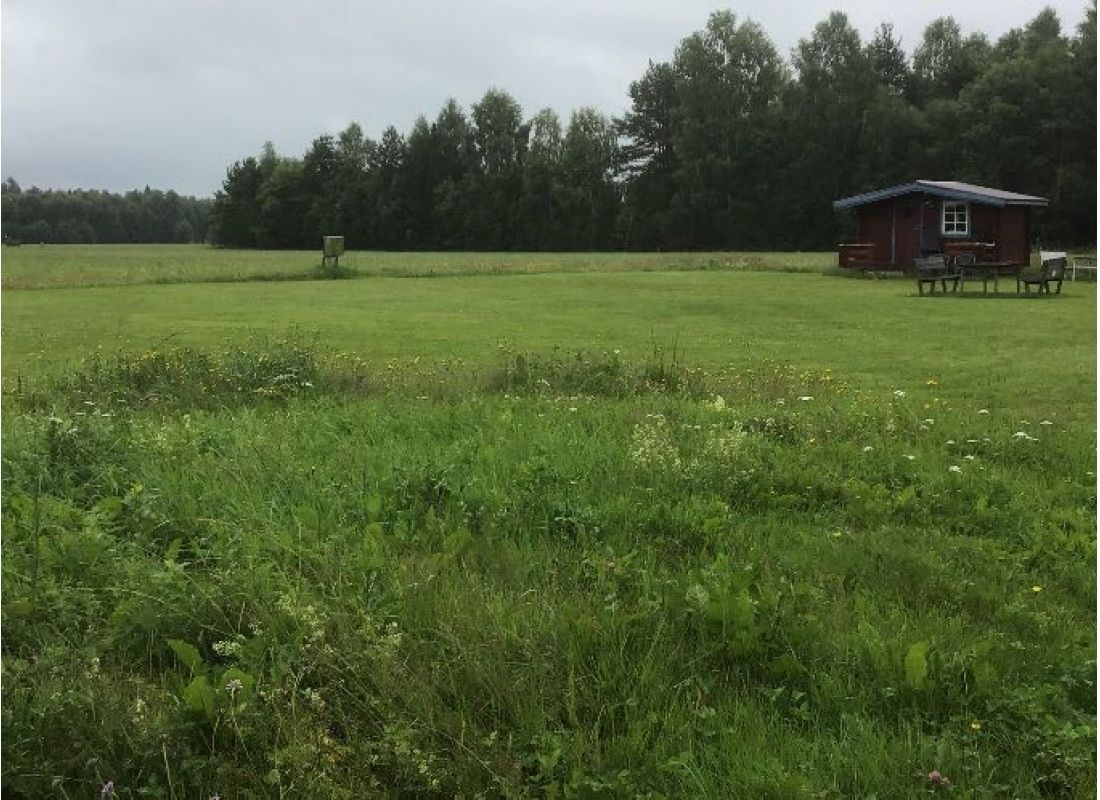 Västerdala Onwest — Stellplatz in Äppelbo