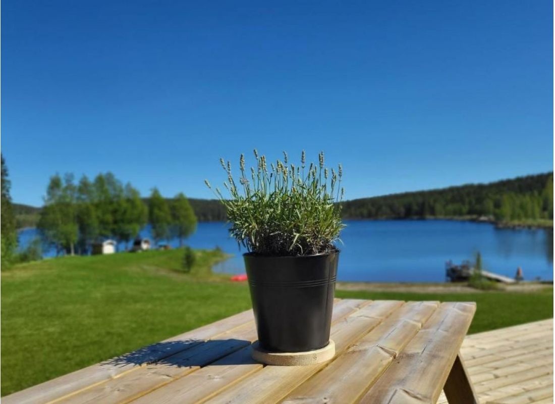 Rödvattnets Cottages & Camping — Camperplads in Rödvattnet