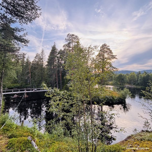 Max Camping — Photo 6