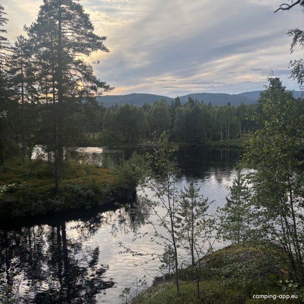 Max Camping — Photo 5