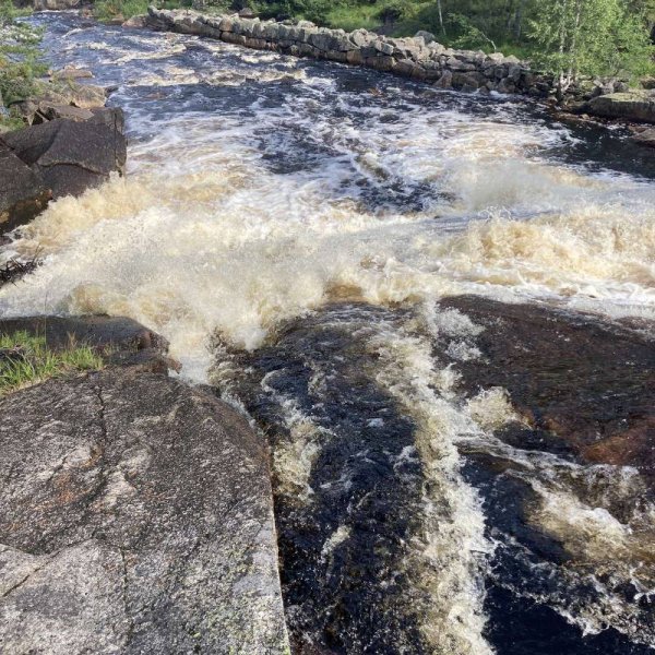 Max Camping — Photo 2