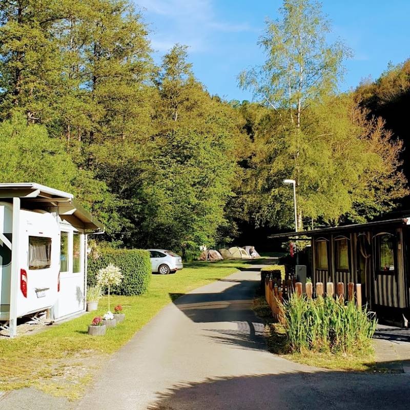 Campingplatz Dieffenbachtal — Sítio de acampamento in Schleiden