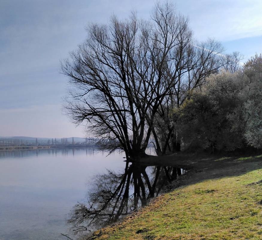Freibad Roßla — Sp. parking dla kamperów in Südharz