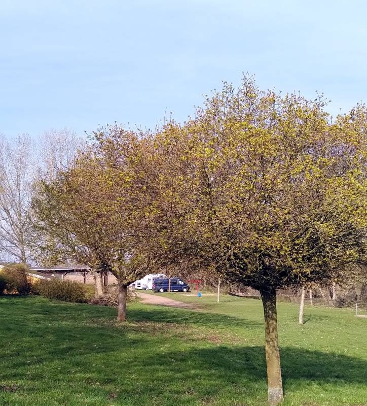 Freibad Roßla — Ställplats in Südharz