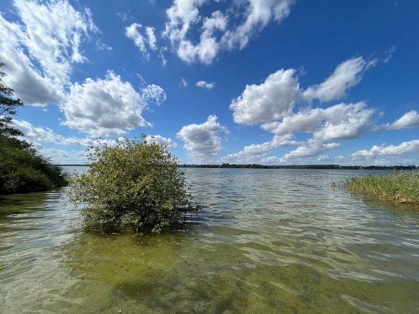 Naturcamping Retgendorf — Photo 3