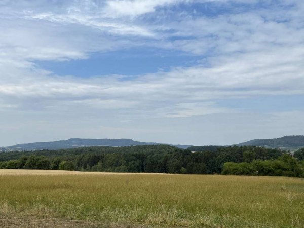 Campingplatz Bergesruh — Photo 3