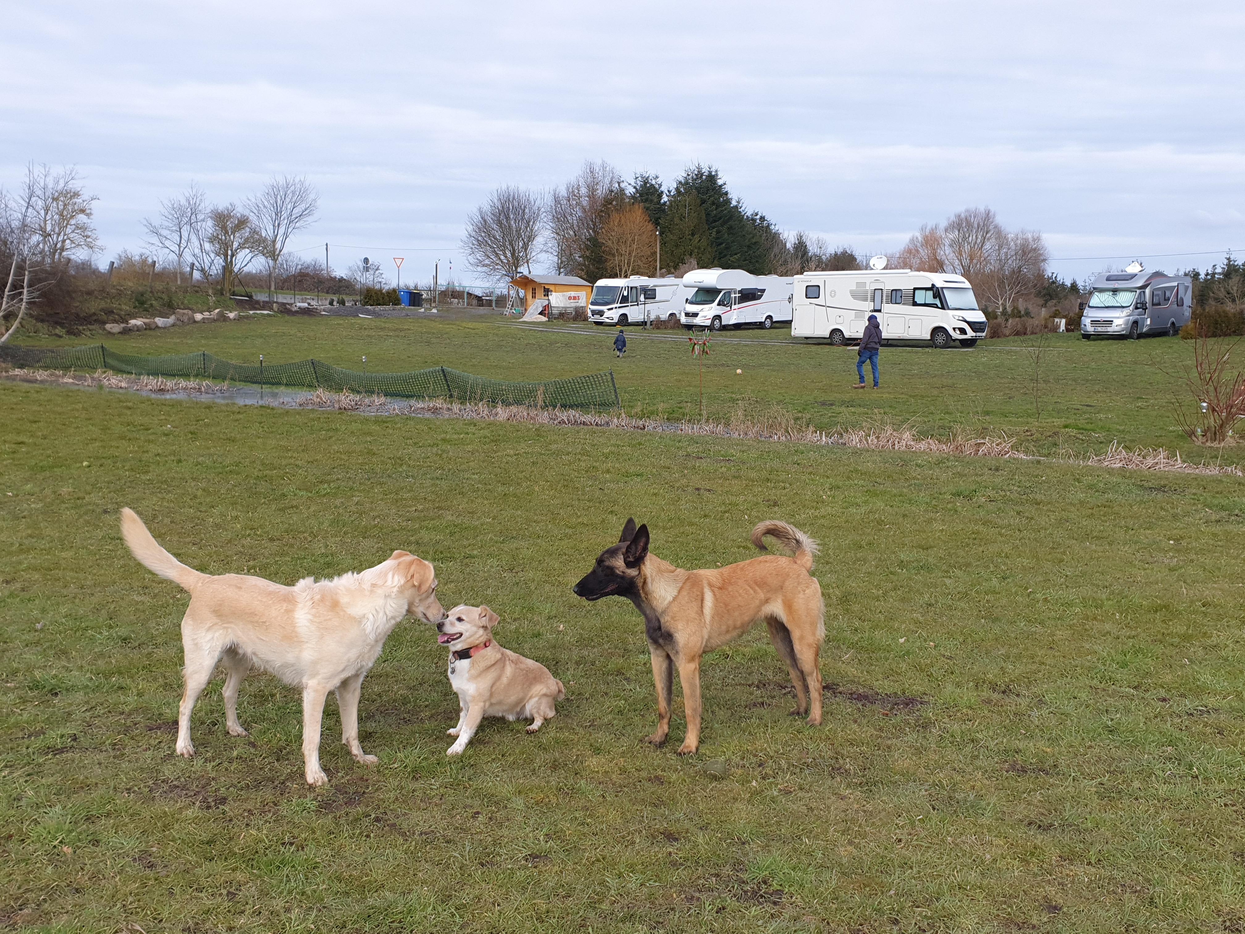 Alttornower Ausbau — Karavan Sitesi in Bad Freienwalde (Oder)