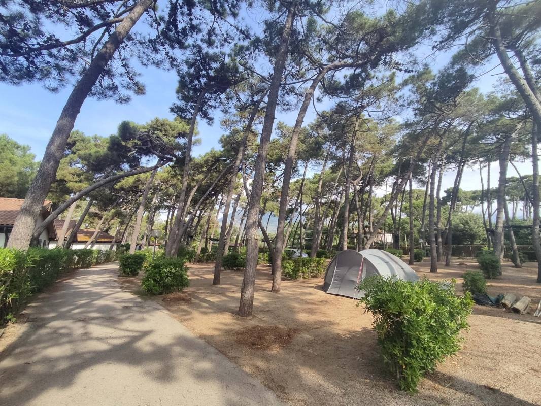 Camping Village Settebello — Camping Site in Fondi