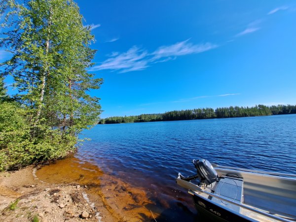 Strömbackens Camping — Photo 3