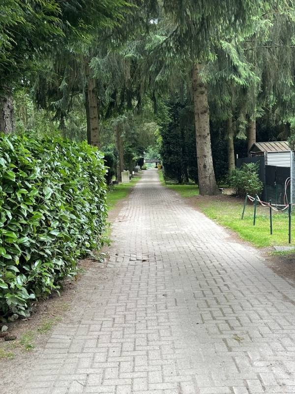 Campingplatz Waldoase-Merzen — Campingplats in Bramsche