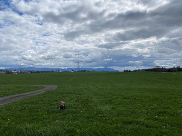 Wohnmobilstellplatz Dietmannsried Weizes Weitblick — Photo 5