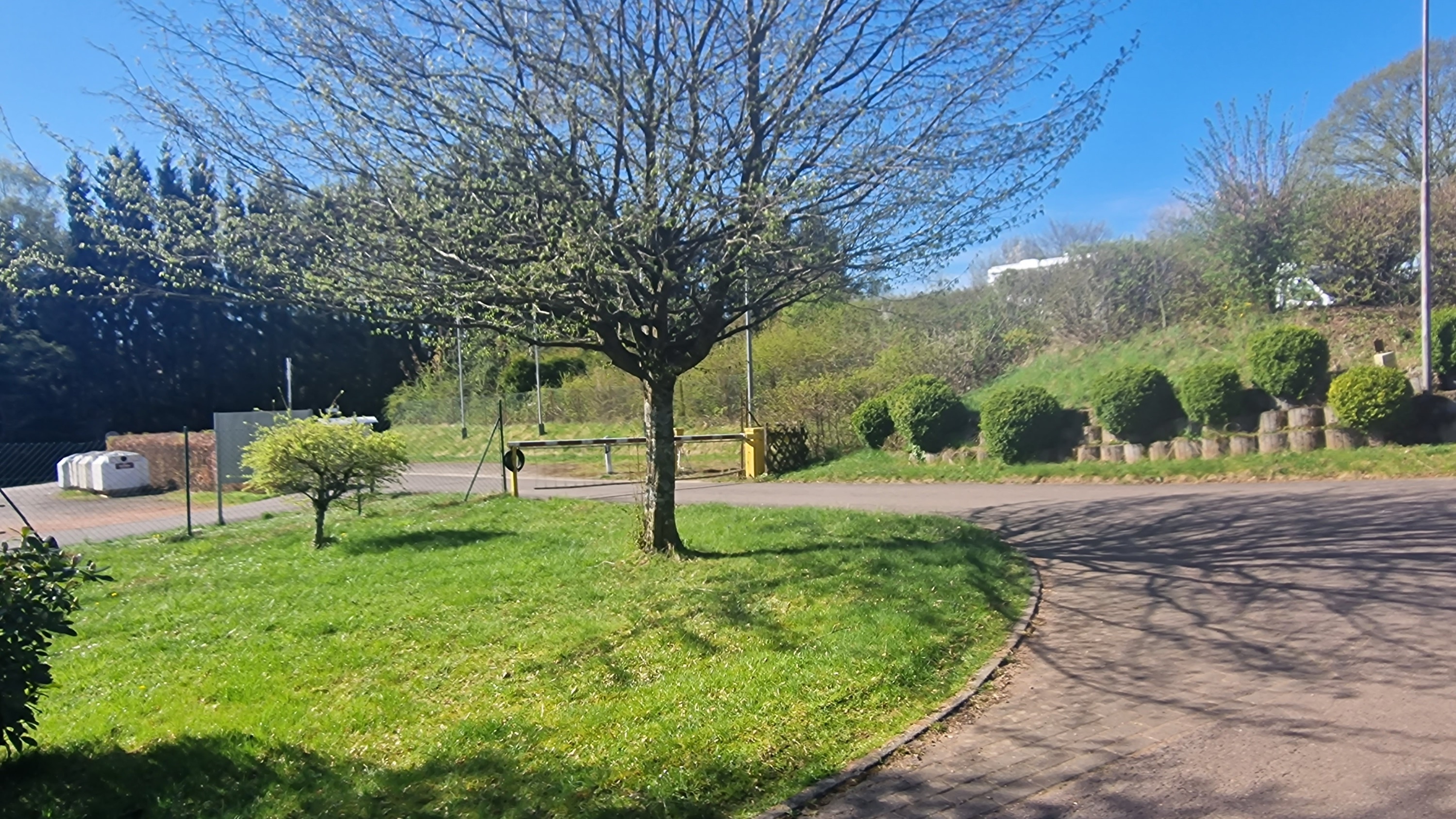 Campingplatz Schwarzwälder Hochwald — Area da campeggio in Weiskirchen