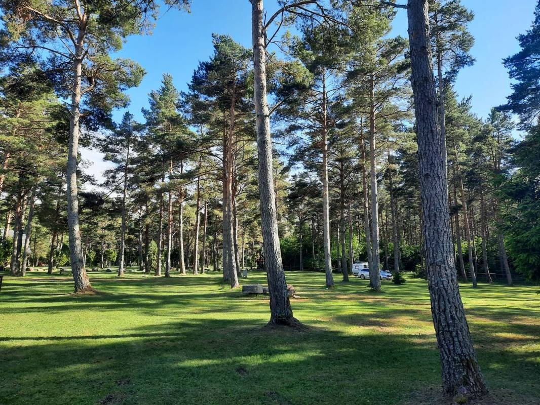 Tehumardi Camping — Camping in Tehumardi küla
