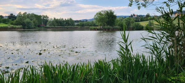 Stellplatz am Landschaftsee Krumbach — Photo 2