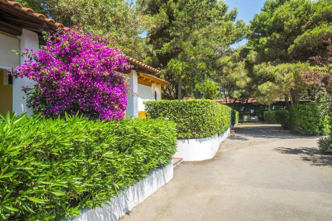 Arco Naturale Club — Sítio de acampamento in Palinuro