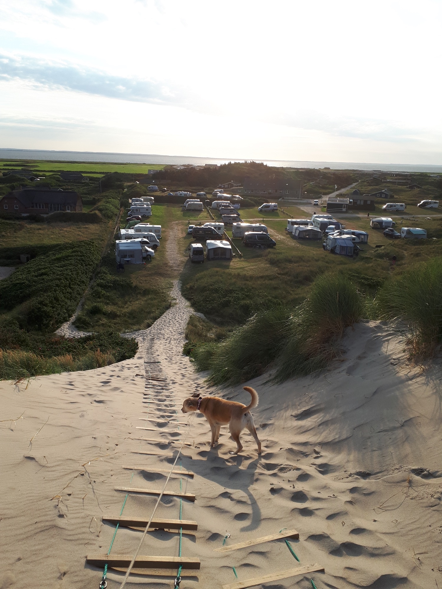 Dancamps Holmsland — Campingplass in Hvide Sande