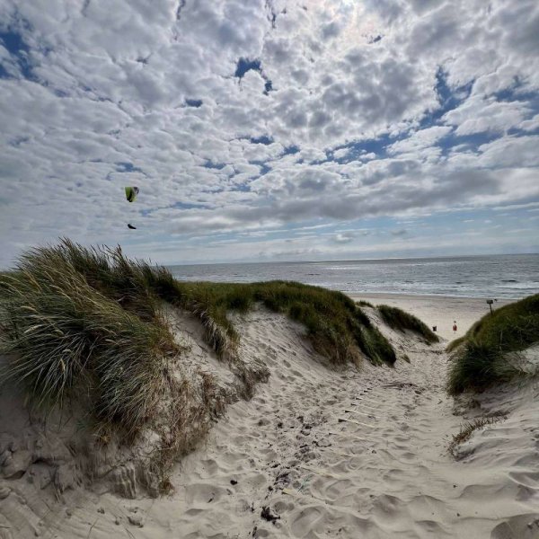 Dancamps Holmsland — Fotografie 6