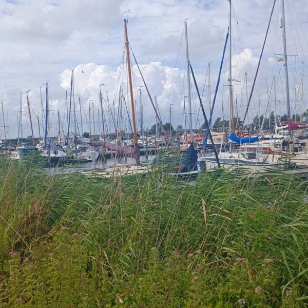 Jachthaven — Photo 6