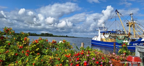 Jachthaven — Foto 2