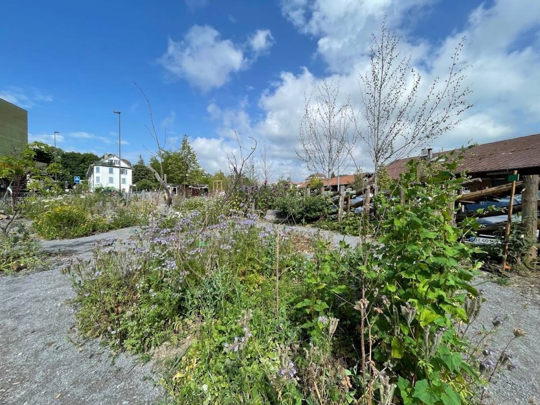 Stadtcamping Areal Bach — Campervan Site in St. Gallen