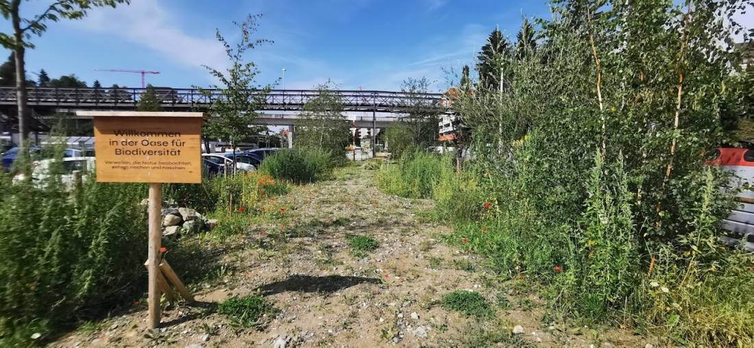 Stadtcamping Areal Bach — Area di sosta in St. Gallen