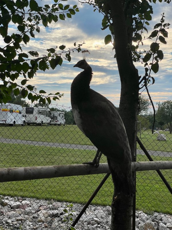 Stellplatz Praha - Rezidence Buliro — Photo 3