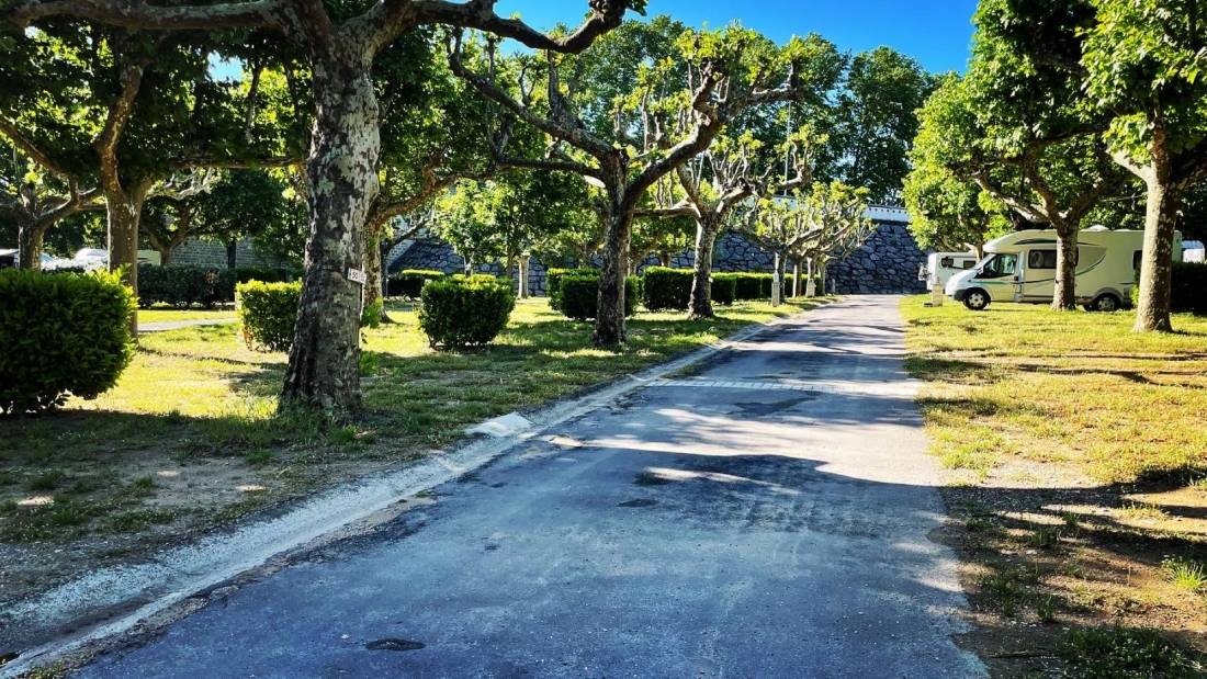 International Camping Ardeche — Campingplats in Salavas