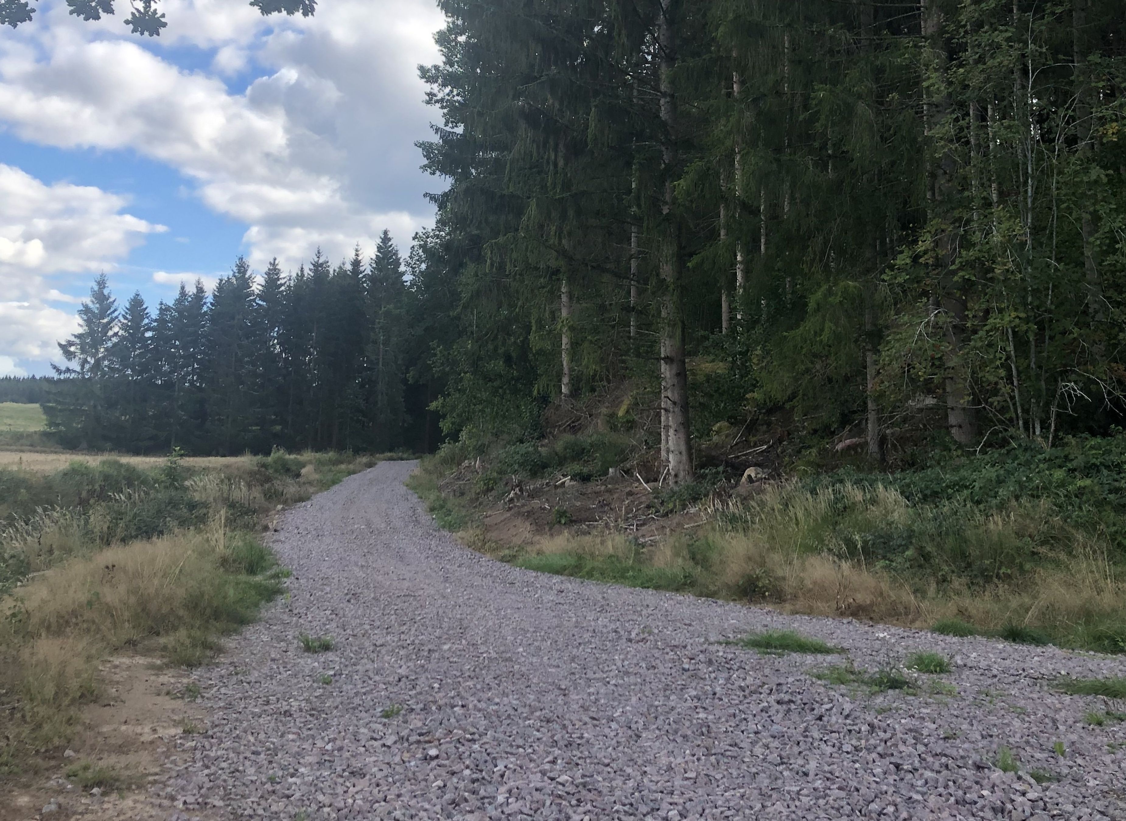 Bjärsen, Haraldsbo — 露营车营地 in Nykil