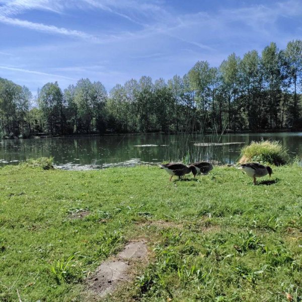 Stellplatz Bray-sur-Somme — Photo 3