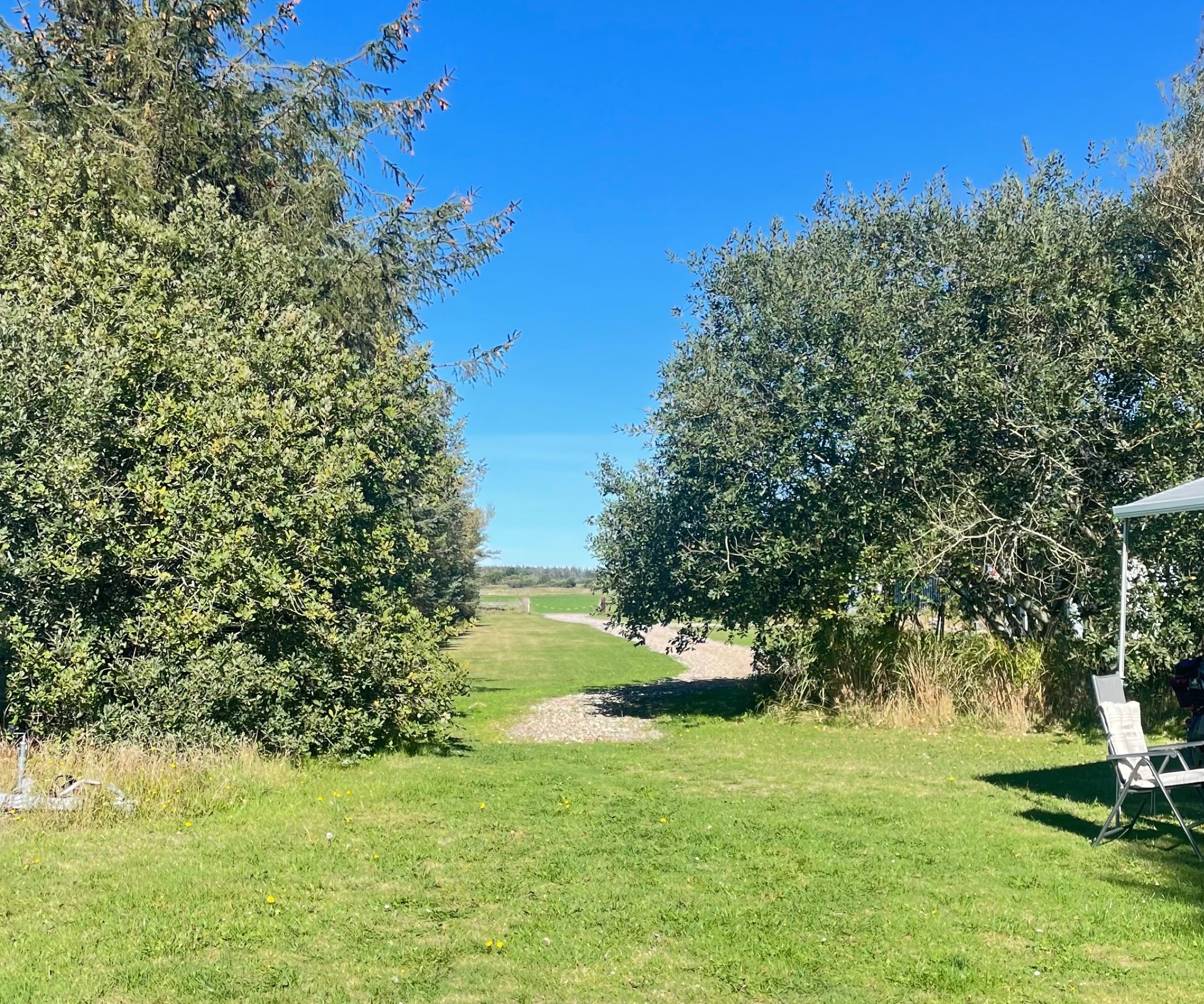 Galleri Munken — Campervan Site in Løkken