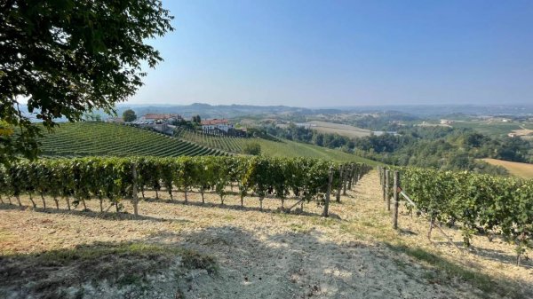 Camping Sole Langhe — Photo 6