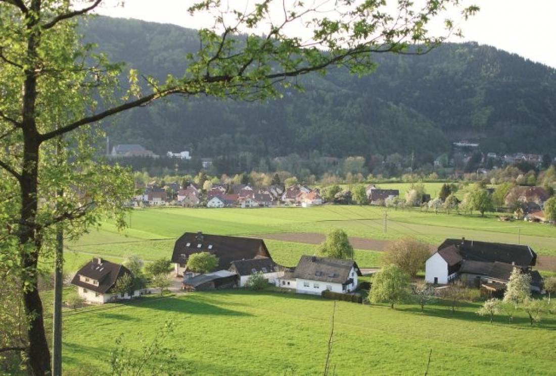 Camping Elztalblick — Kemping in Waldkirch
