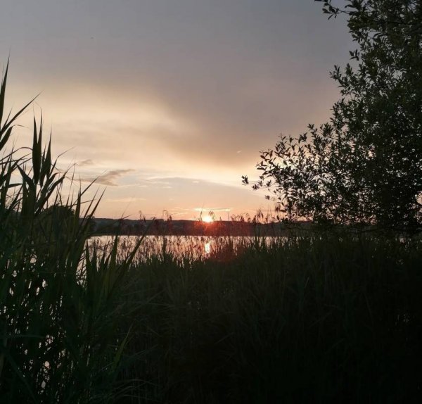 Campingplatz Tettenhausen — Photo 3