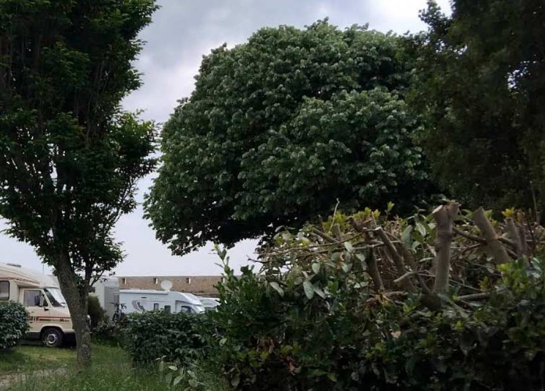 Stellplatz Prairie — Camperplads in Port-Louis