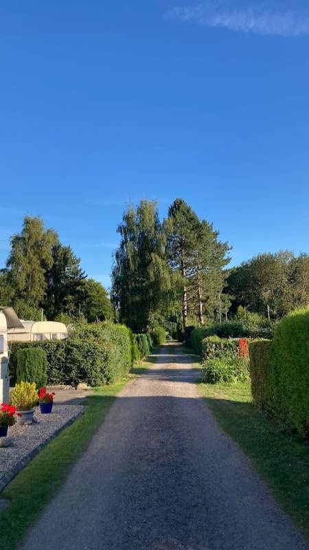 Waldseehof — Kamp yeri in Ahlefeld-Bistensee