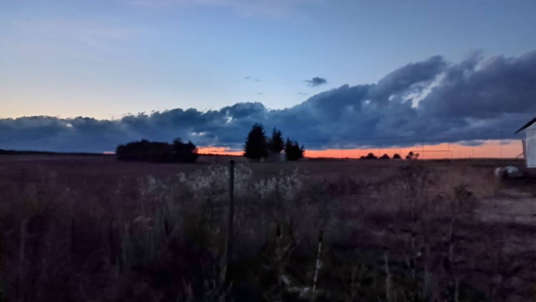 Marigold — Camping in Mirowo