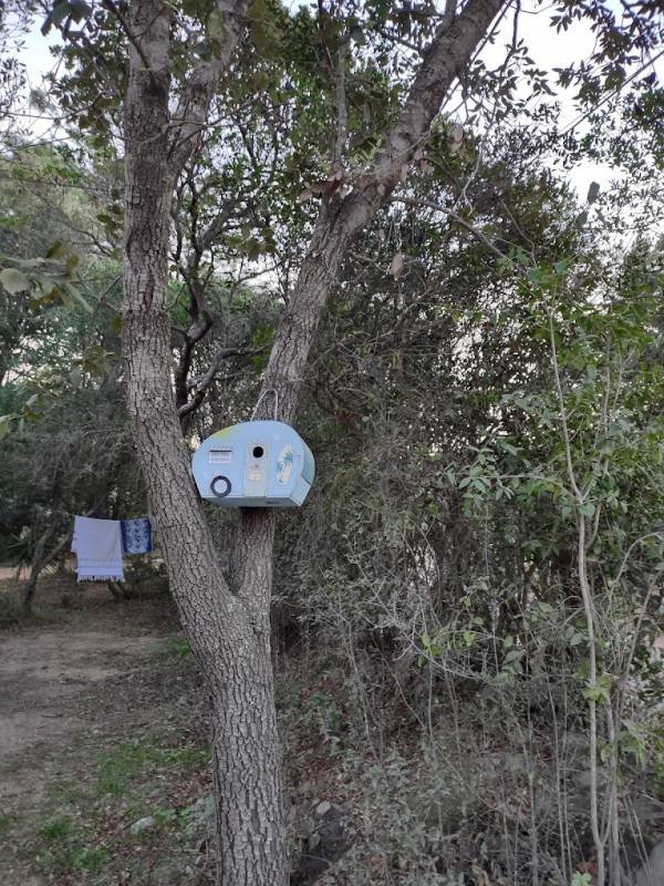 Galeria Van'park — Photo 2