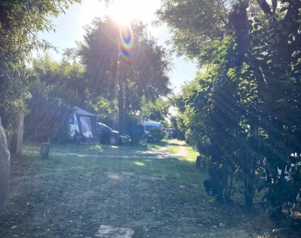 Camping Pégomas — Photo 3