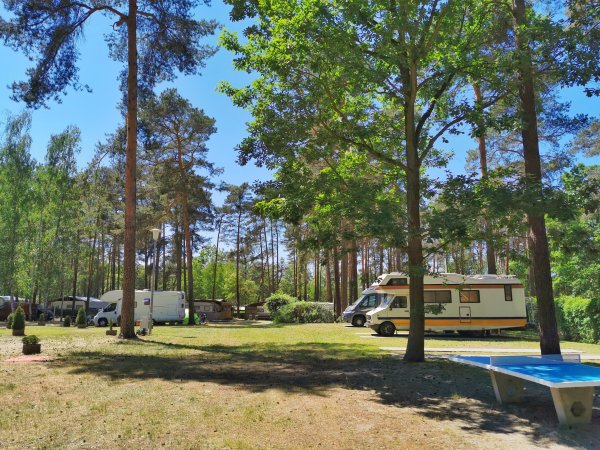 Waldcamping Am Großsee — Photo 2