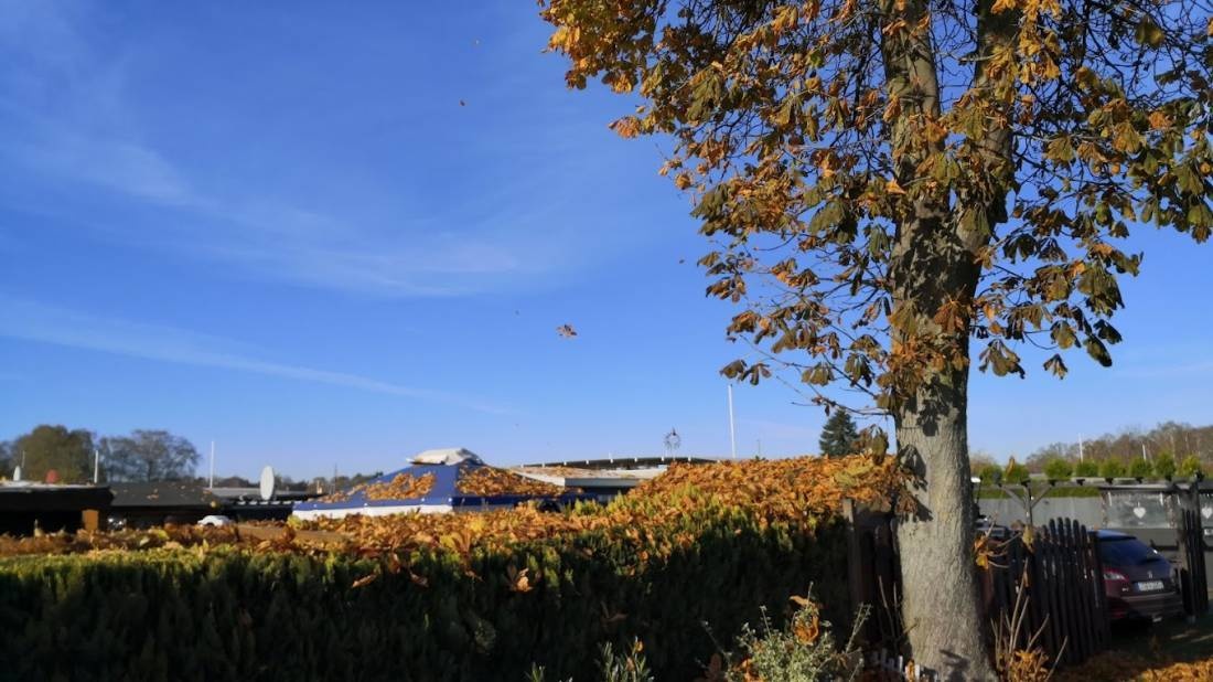 Camping Thüle — Kamp yeri in Garrel